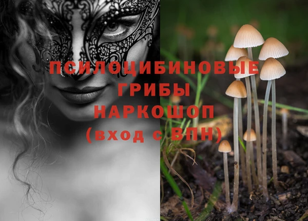 соль ск Козельск