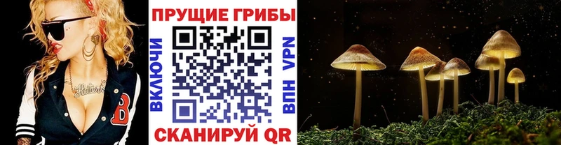 Купить где  Сыктывкар  Галлюциногенные грибы ЛСД 